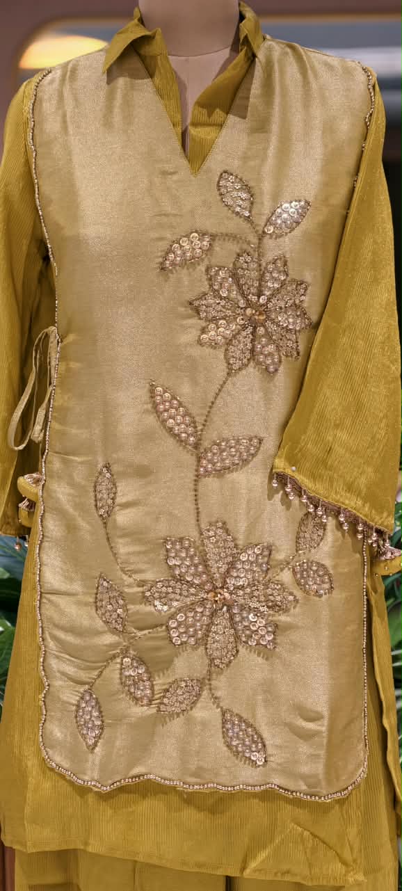 Tissue Fabric Embroidered Flap on Top Collar Style Co-Ord Set- 16764