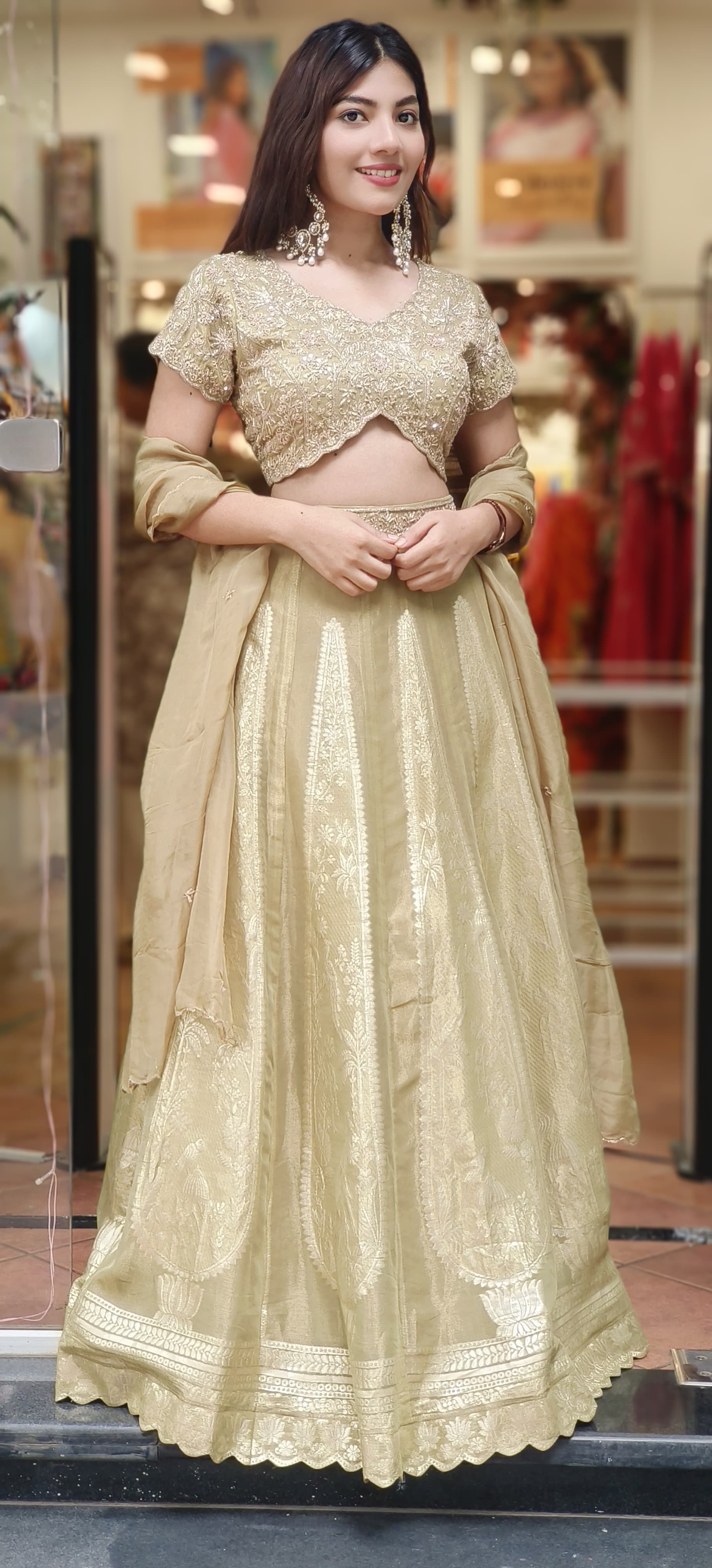 Designer Brocade Handwork Blouse With Panel Banarasi Lehenga & Organza Dupatta