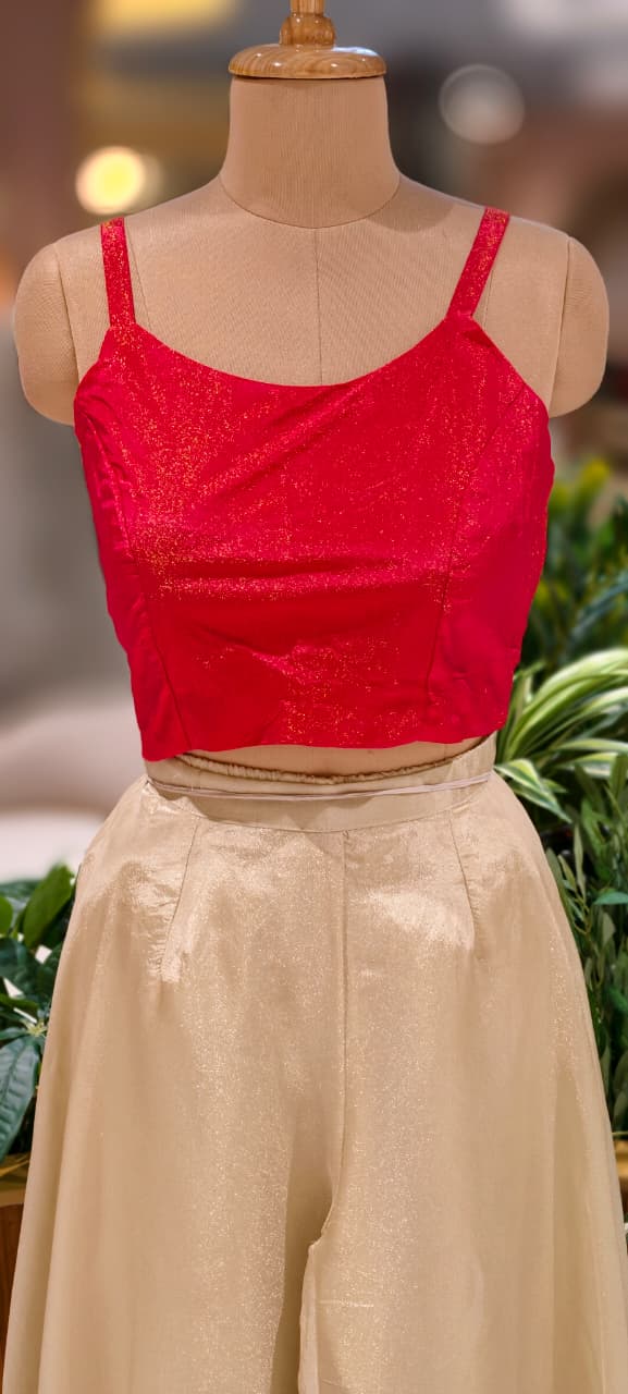 Cut-Dana Heavy Placement Work Shrug With Buster In Palazzo Bottom In Tissue Fabric-13232