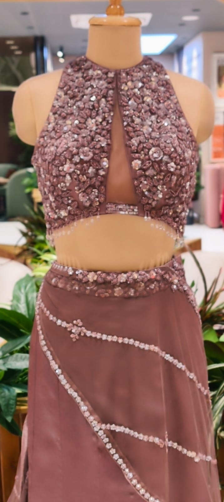 Blush Embellished Blouse Drape Netted With Ruffle Cane-Cane Skirt RB81