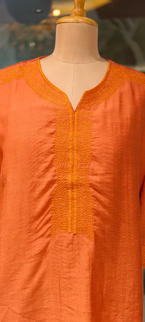 Kashmiri Embroidery Over Neck & Sleeve Unique Imported Top- 15136