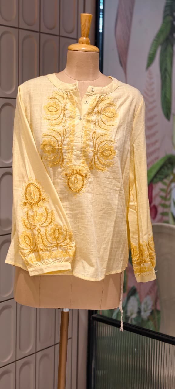 Embroidered Yoke With Cut-Dana Highlights Casual Western Imported Top- 15154