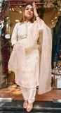 Beautiful shimmer tissue lean fit  full suit with lining and organza  dupatta DRY WASH-04039 (Lean fit)