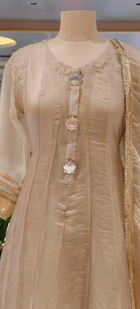 Tissue Panel Anarkali Full Suit Set With Beautiful Golden Borders & Broches