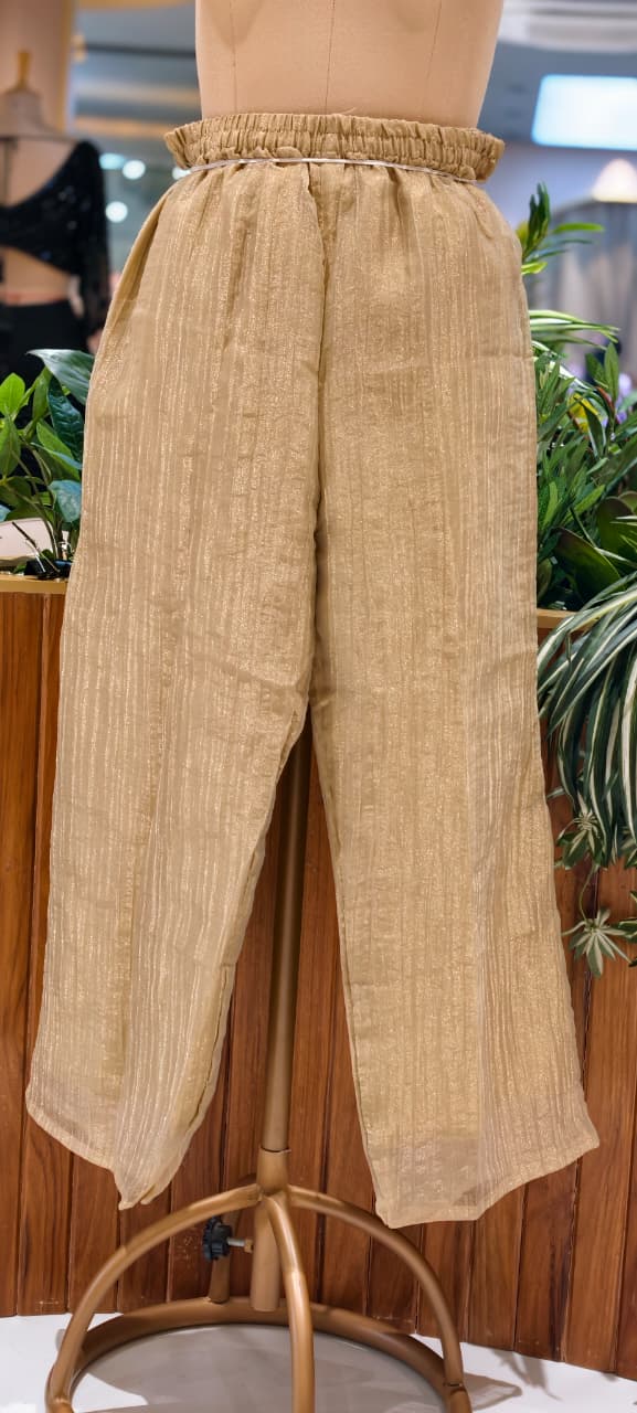 Heavy Jewel Stone Work Tassel Accent Side Knots Overlay Crush Tissue Co-Ord Set-  15628