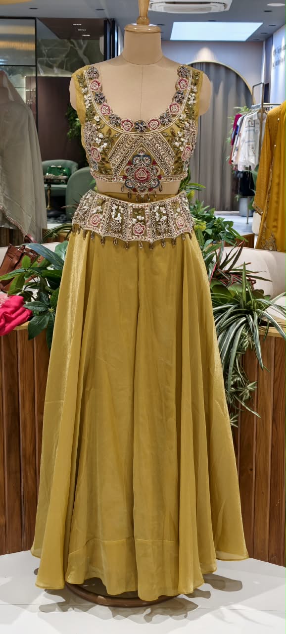 Designer Heavy Hand-Embroidered Rajasthani Tribal Inspired Glace Tissue Mustard Crop-Top With Outer & Flared Bottom- 14728