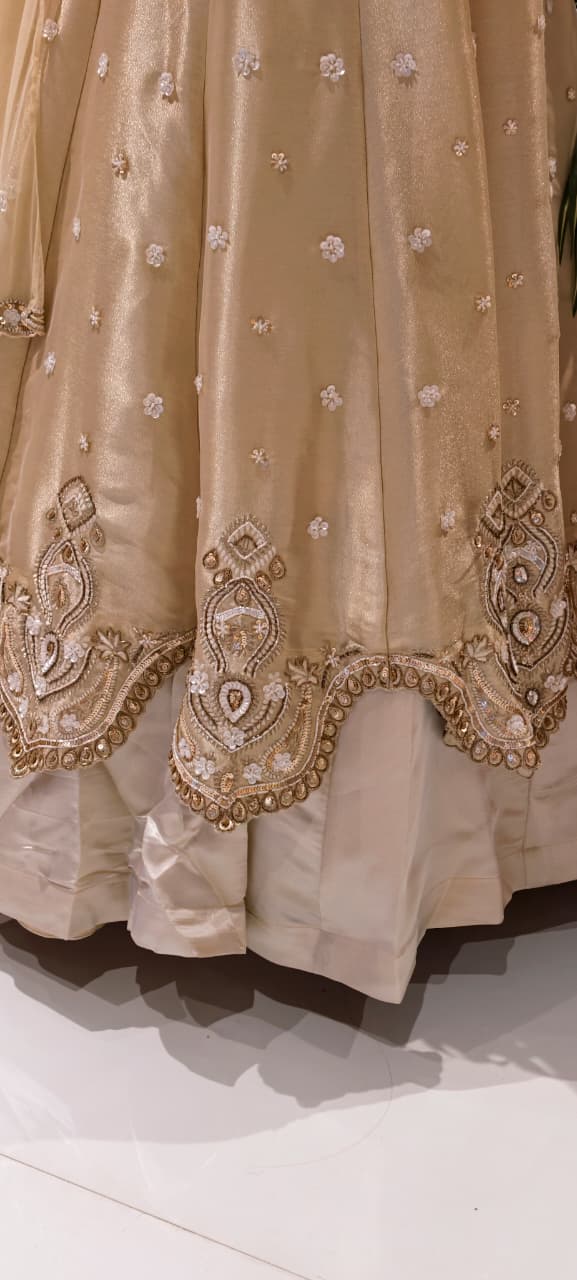Beige Embroidered Kurta Subtle Shimmer Tissue Top Flare Skirt  & Dupatta RB78