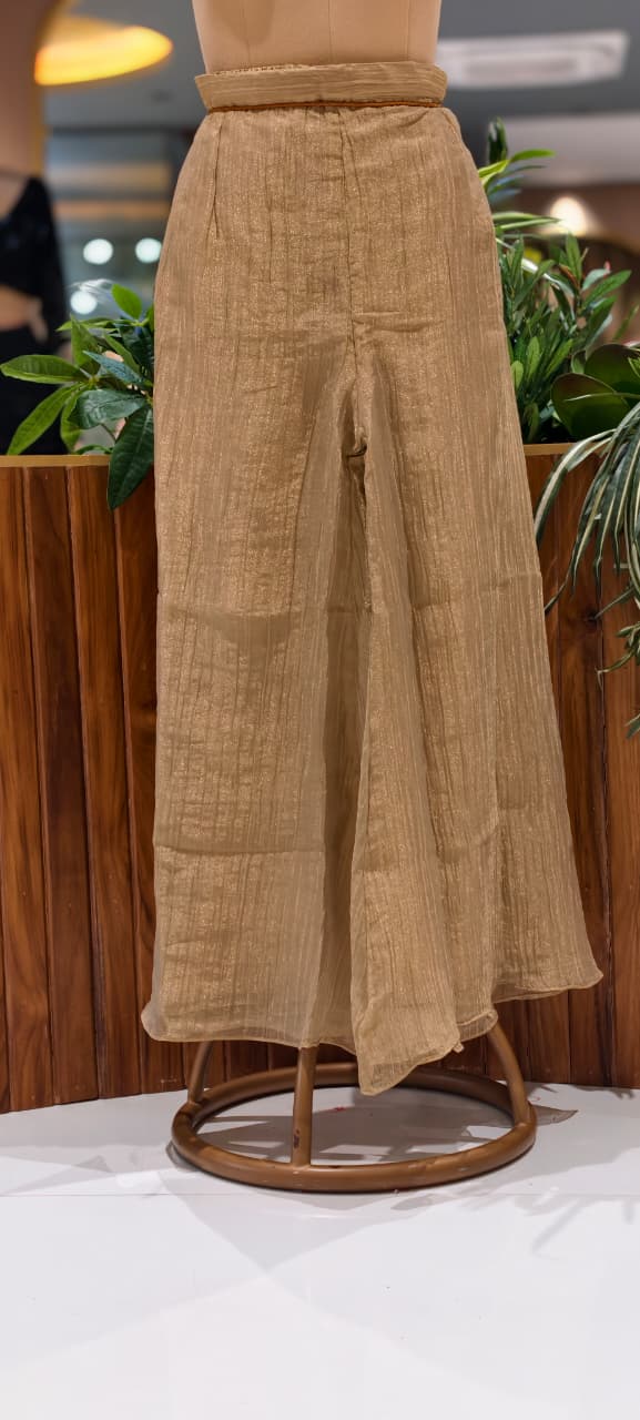 Premium Zardosi Hand Embroidered Boxed Neckline Crush Tissue Co-Ord Set- 15604