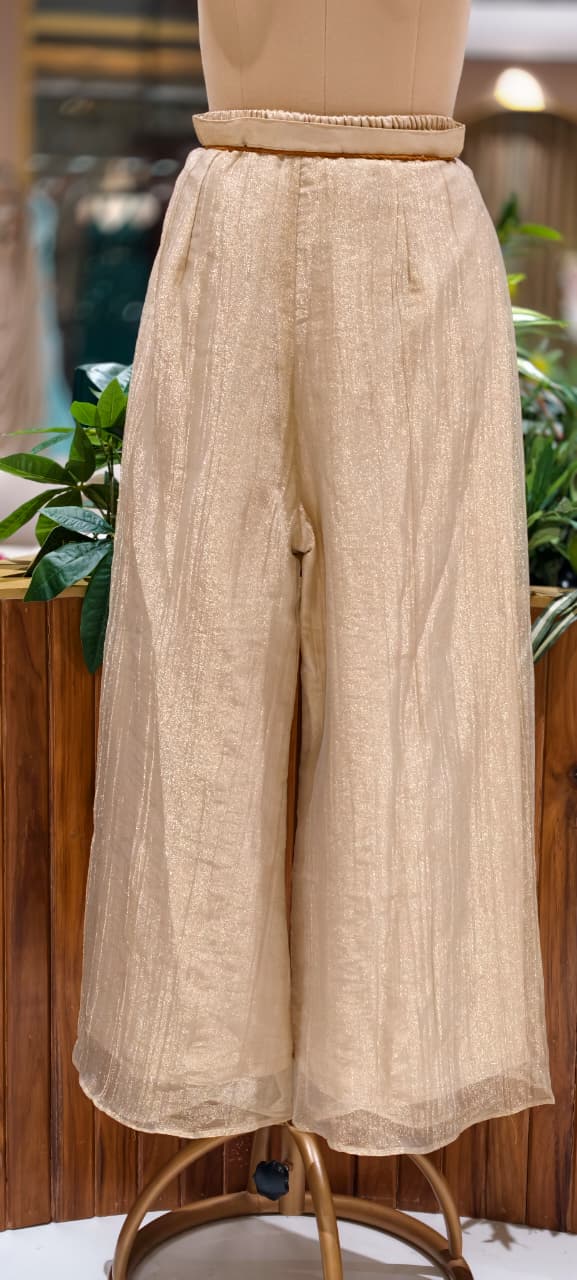 Elegant Crystal Stones Neckline Premium Co-Ord Set With Loose Palazzo Bottom In Salsa Fabric- 15290 (Lean Fit)